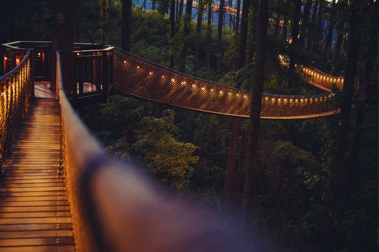 The Ultimate 3-Day Gatlinburg Trip: What to Do, See, and Explore